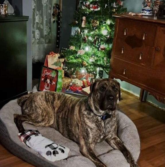 Meet your Posher, Al - Picture 1 of 1